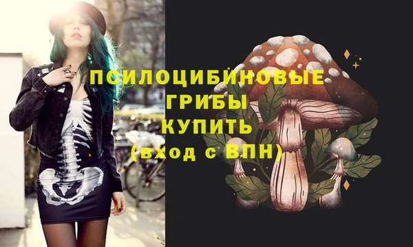 прущий лед Аркадак