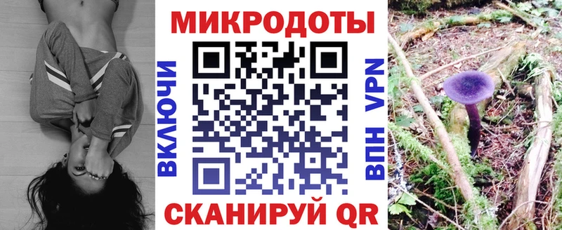 omg где найти Благодарный Псилоцибиновые грибы Psilocybe